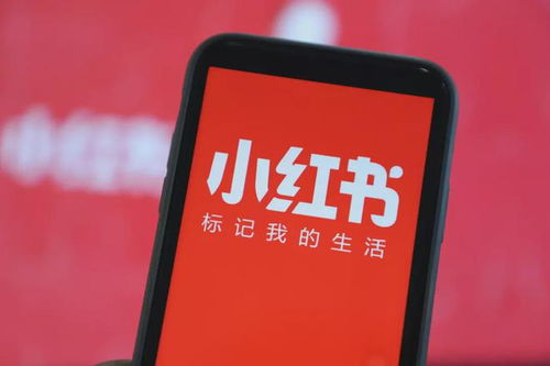 商業動態觀察 融資潮與業務拓展并行